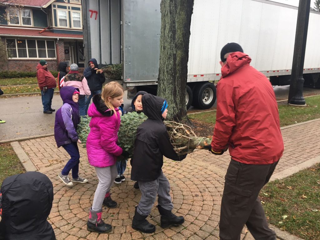 XMAS TREE SALE UNLOADING
