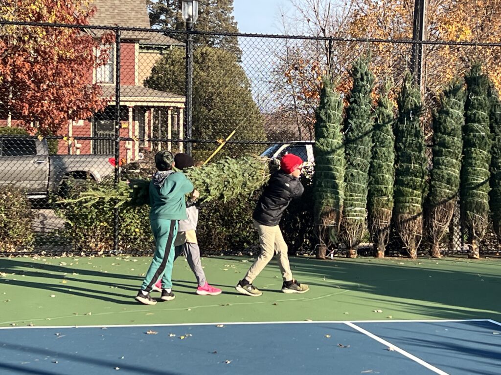 Three people caring a tree-team work