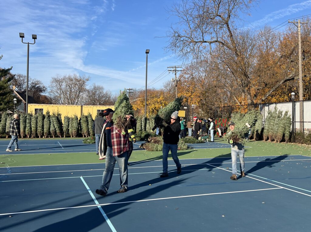 Two guys caring tress