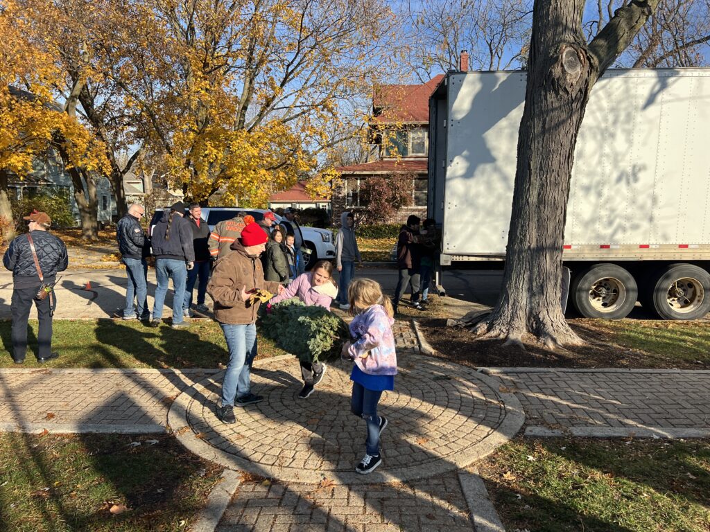 Young girls helping caring a tree