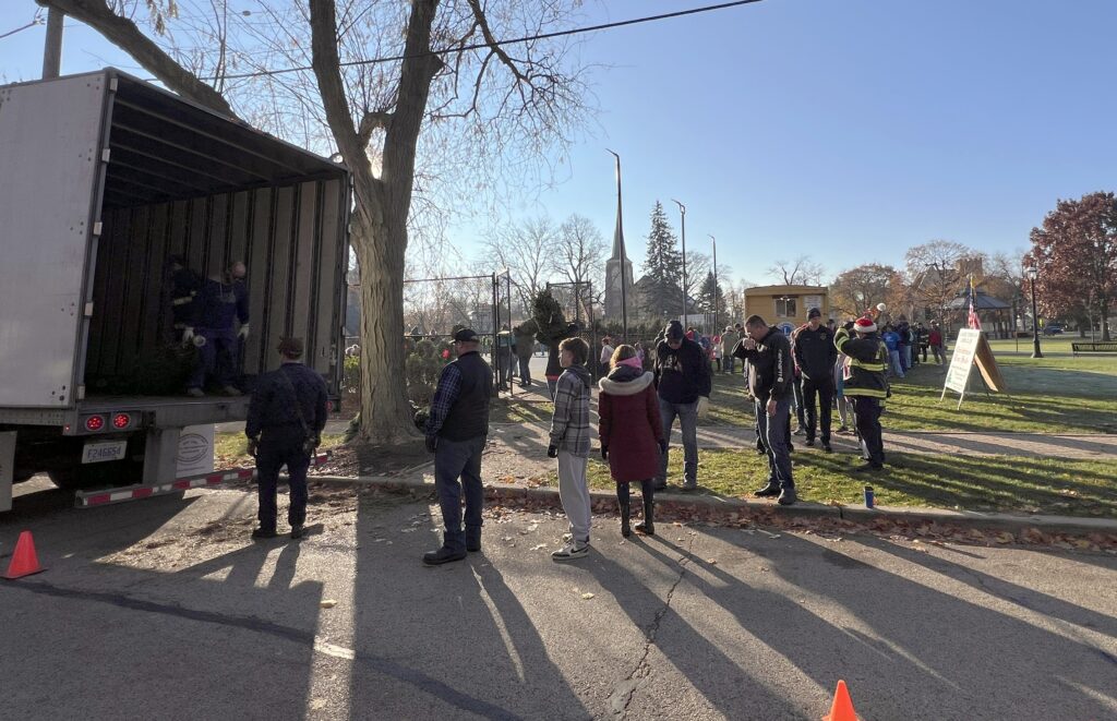 people unloading trees